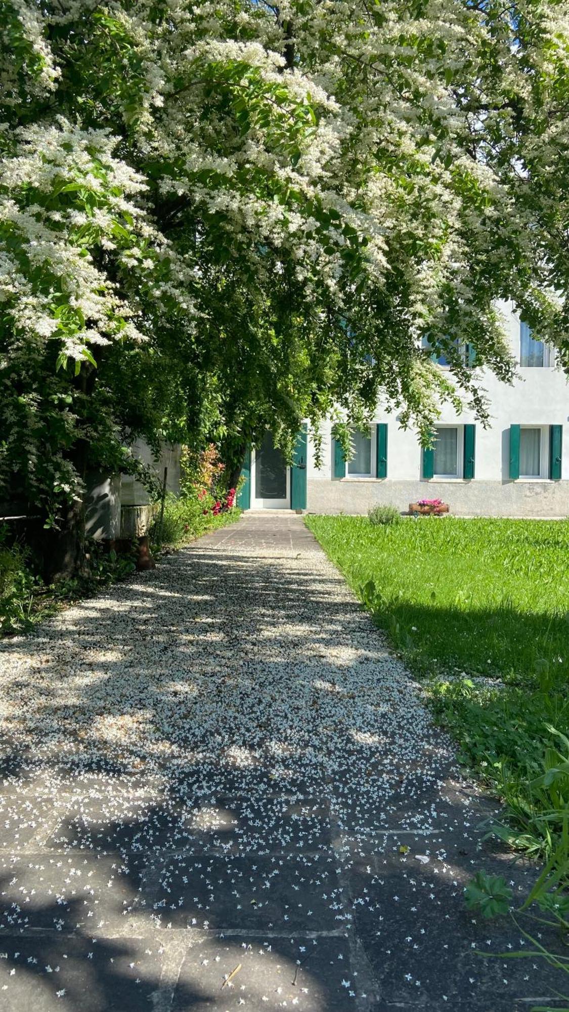 Appartement Magnolia 41 à Possagno Extérieur photo